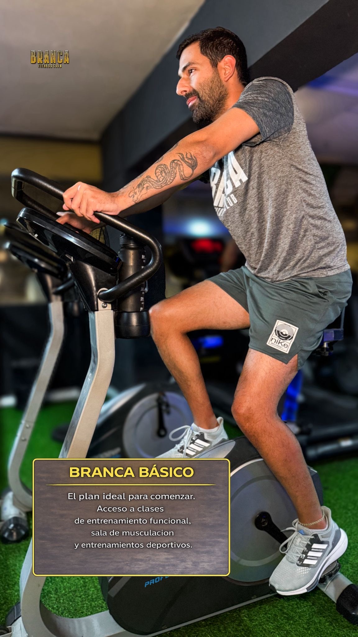 Branca Básico