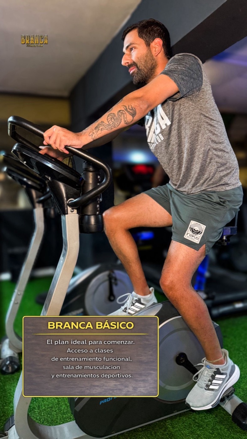 Branca Básico
